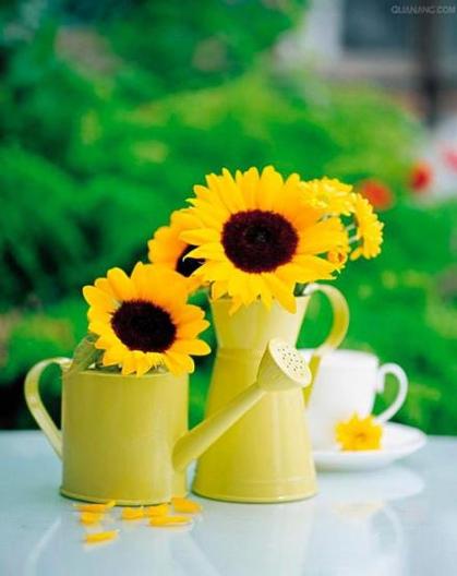 <em>东海县实验中学</em>校花_<em>东海县实验中学照片</em>_东